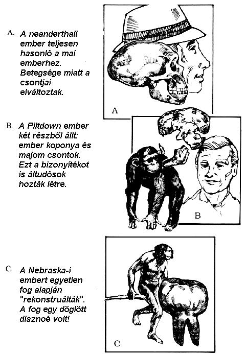 Ősemberek összehasonlítása